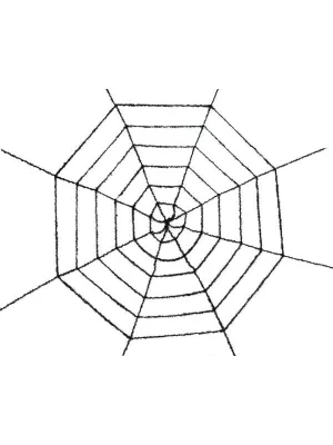 Black Tinsel Spider Web