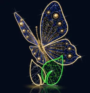BUTTERFLY PHOTO OP