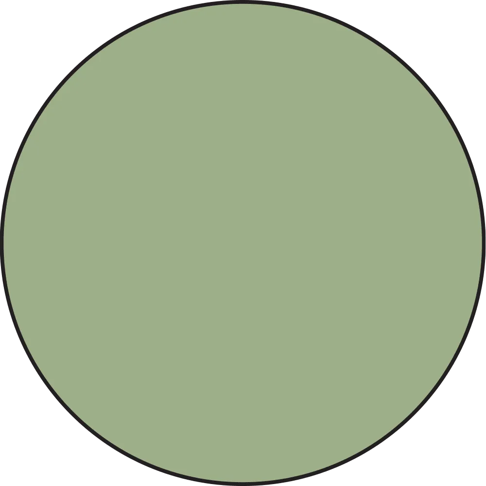Distress Spritz - Bundled Sage