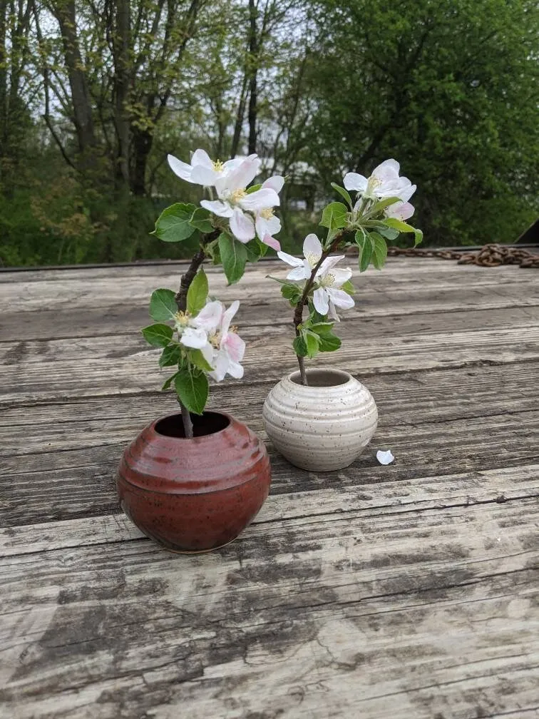 Flower Frog Ikebana Small Pin Frog Flower Vase