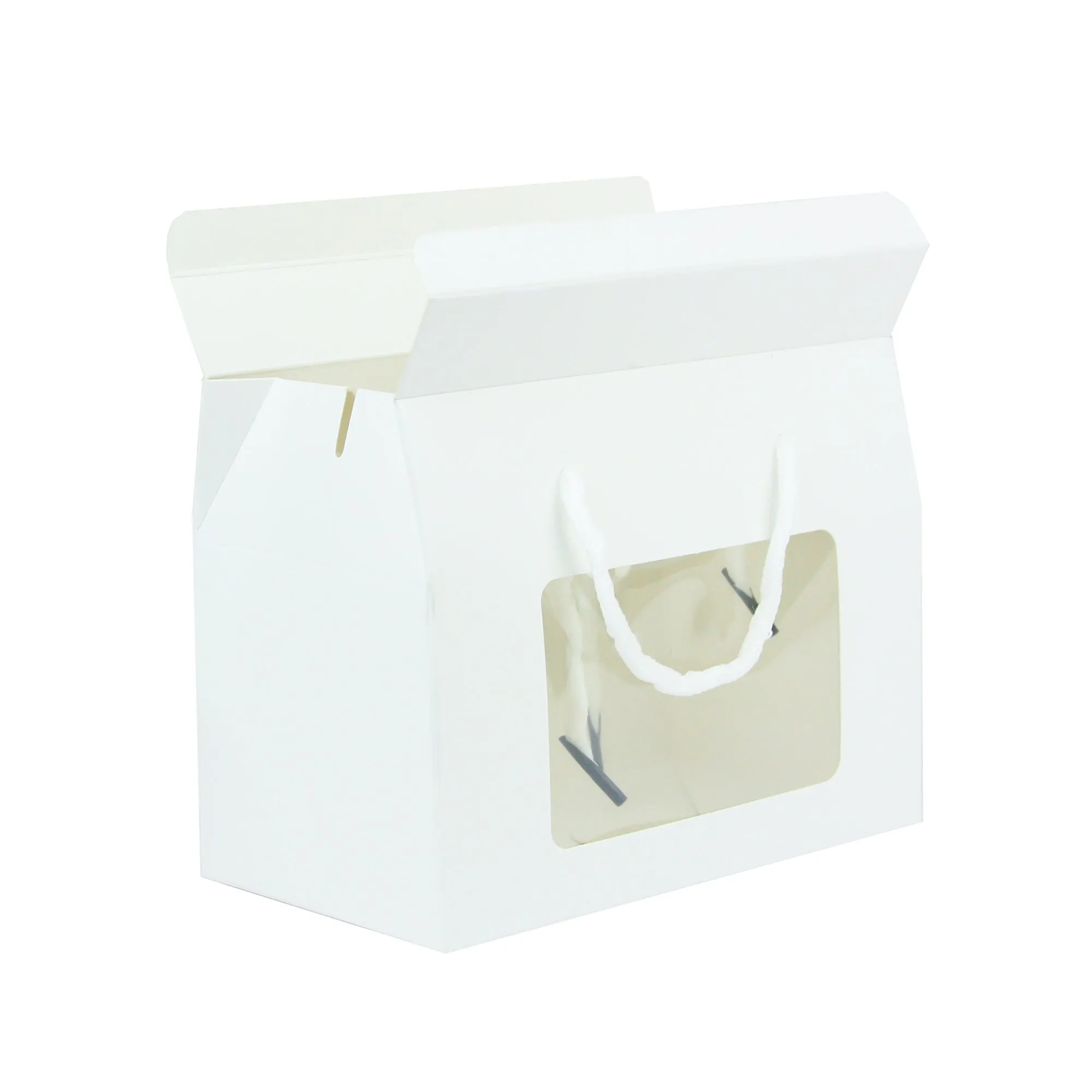 Kraft Gift Box Bags with Rope Handle Pack of 12 (Sizes Available)