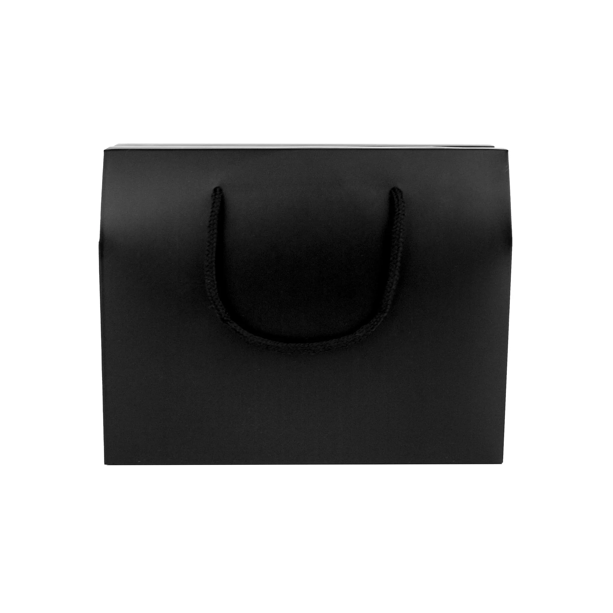 Kraft Gift Box Bags with Rope Handle Pack of 12 (Sizes Available)