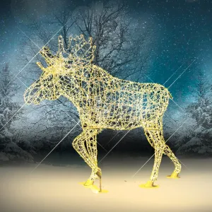 LED MOOSE