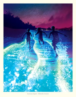 Luminous Lagoon
