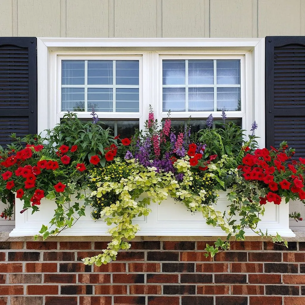 Mayne Fairfield 4ft Window Box