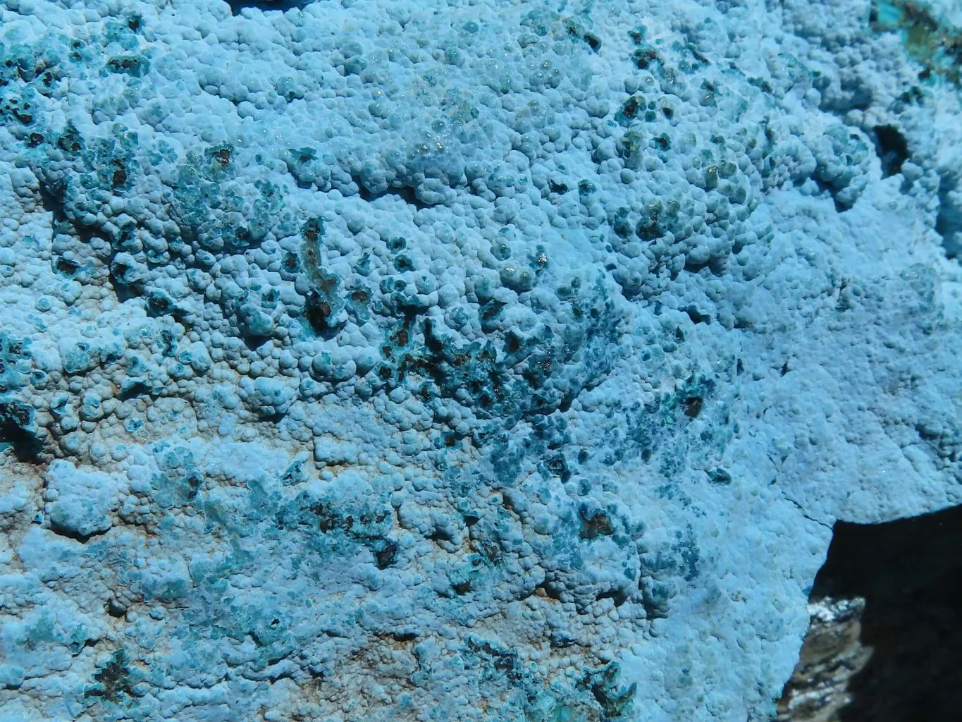Natural Beautiful Large Blue  Chrysocolla Specimen x 1 From Congo