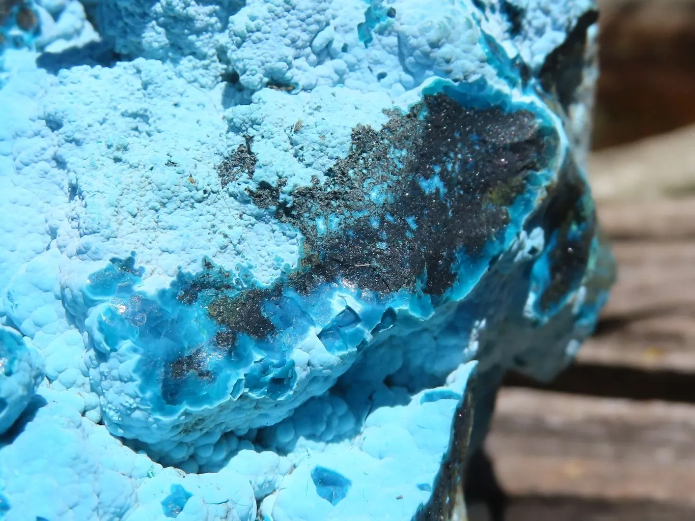 Natural Beautiful Large Blue  Chrysocolla Specimen x 1 From Congo