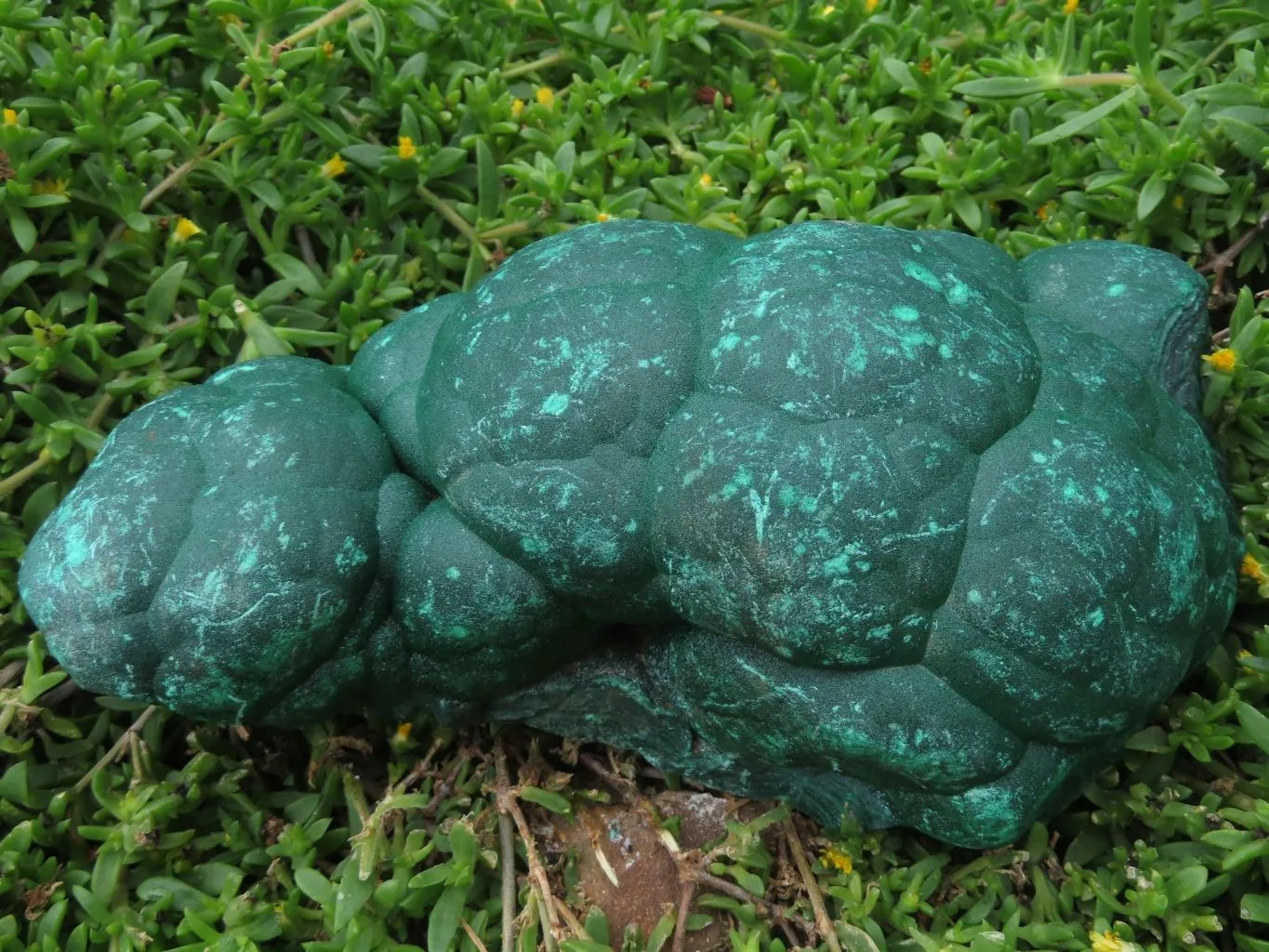 Natural Botryoidal Malachite Specimen x 1 From Kolwezi, Congo