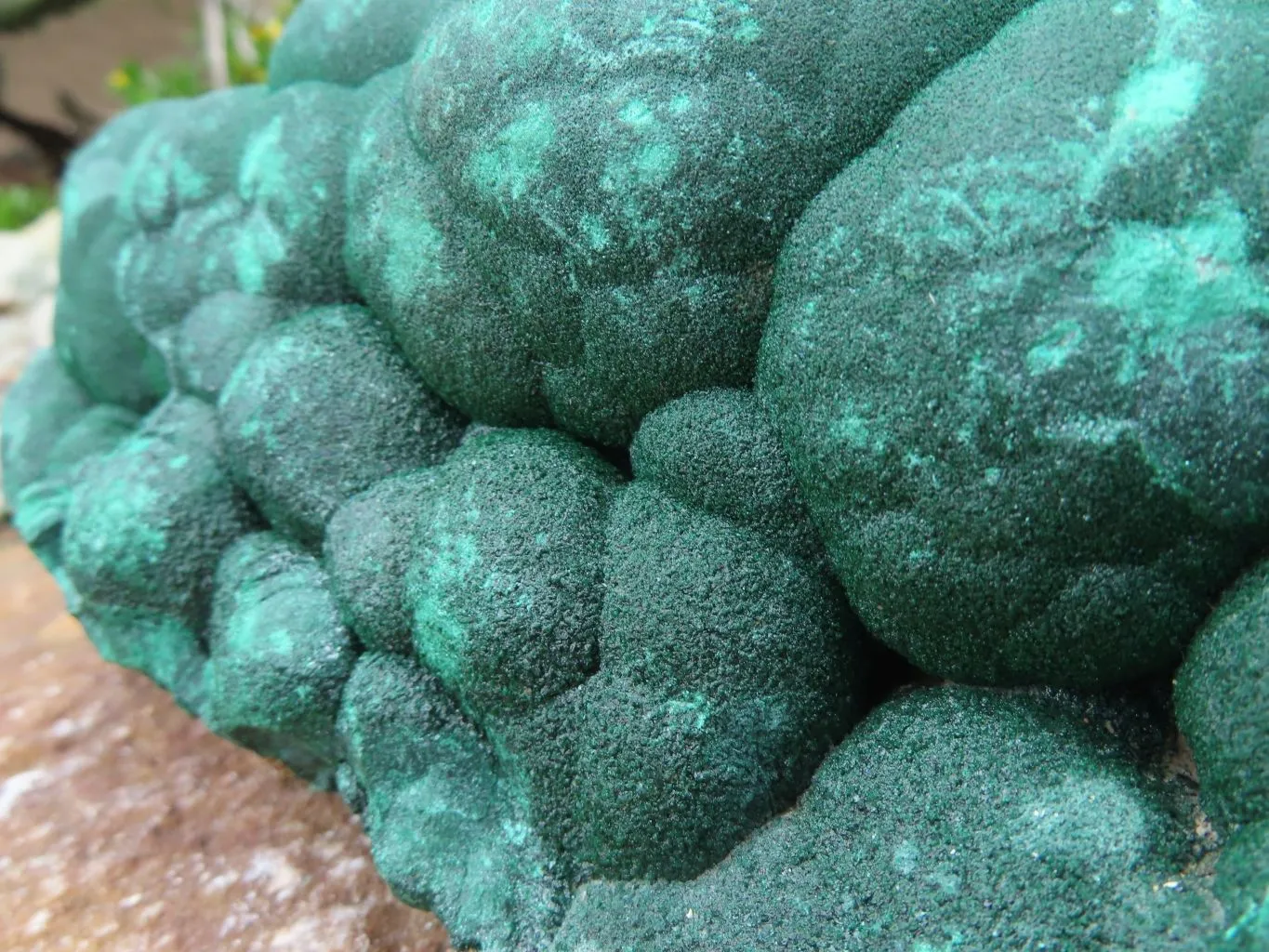 Natural Botryoidal Malachite Specimen x 1 From Kolwezi, Congo