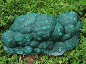 Natural Botryoidal Malachite Specimen x 1 From Kolwezi, Congo