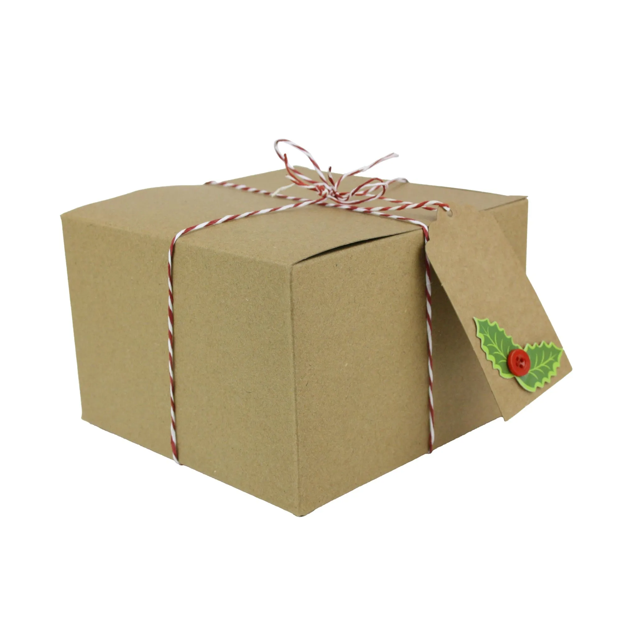 Natural Brown Kraft Gift Boxes with String and Tag Pack of 12