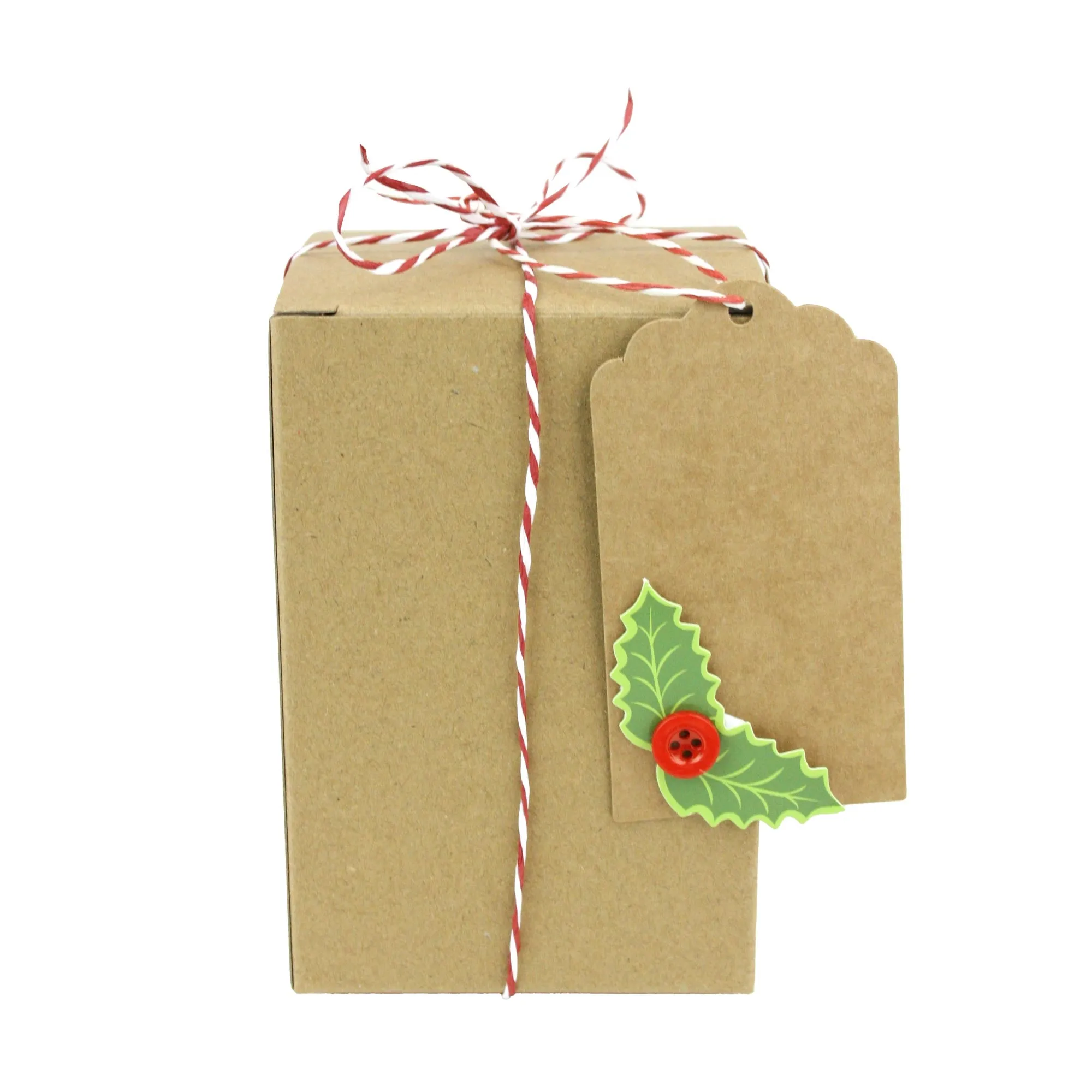 Natural Brown Kraft Gift Boxes with String and Tag Pack of 12