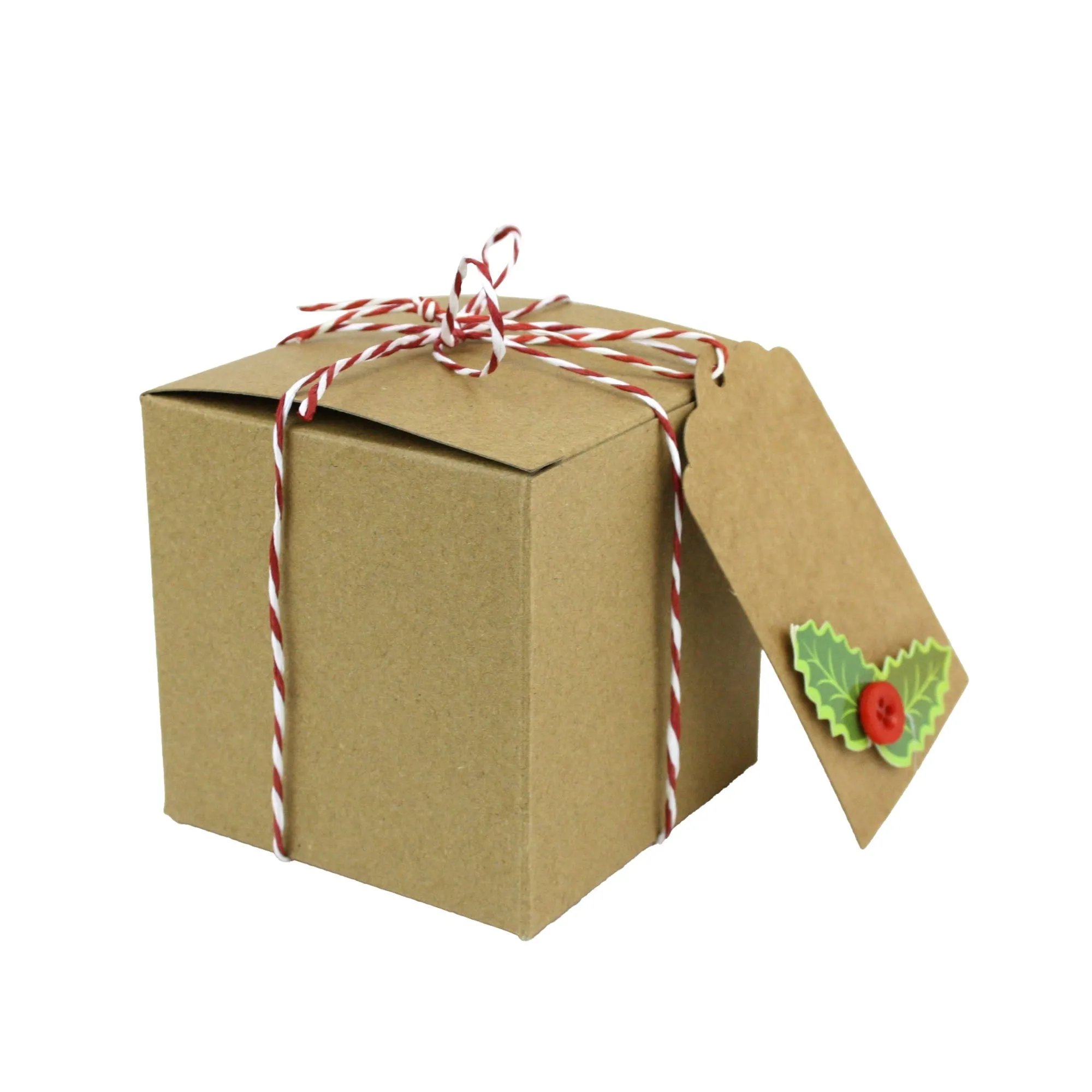 Natural Brown Kraft Gift Boxes with String and Tag Pack of 12