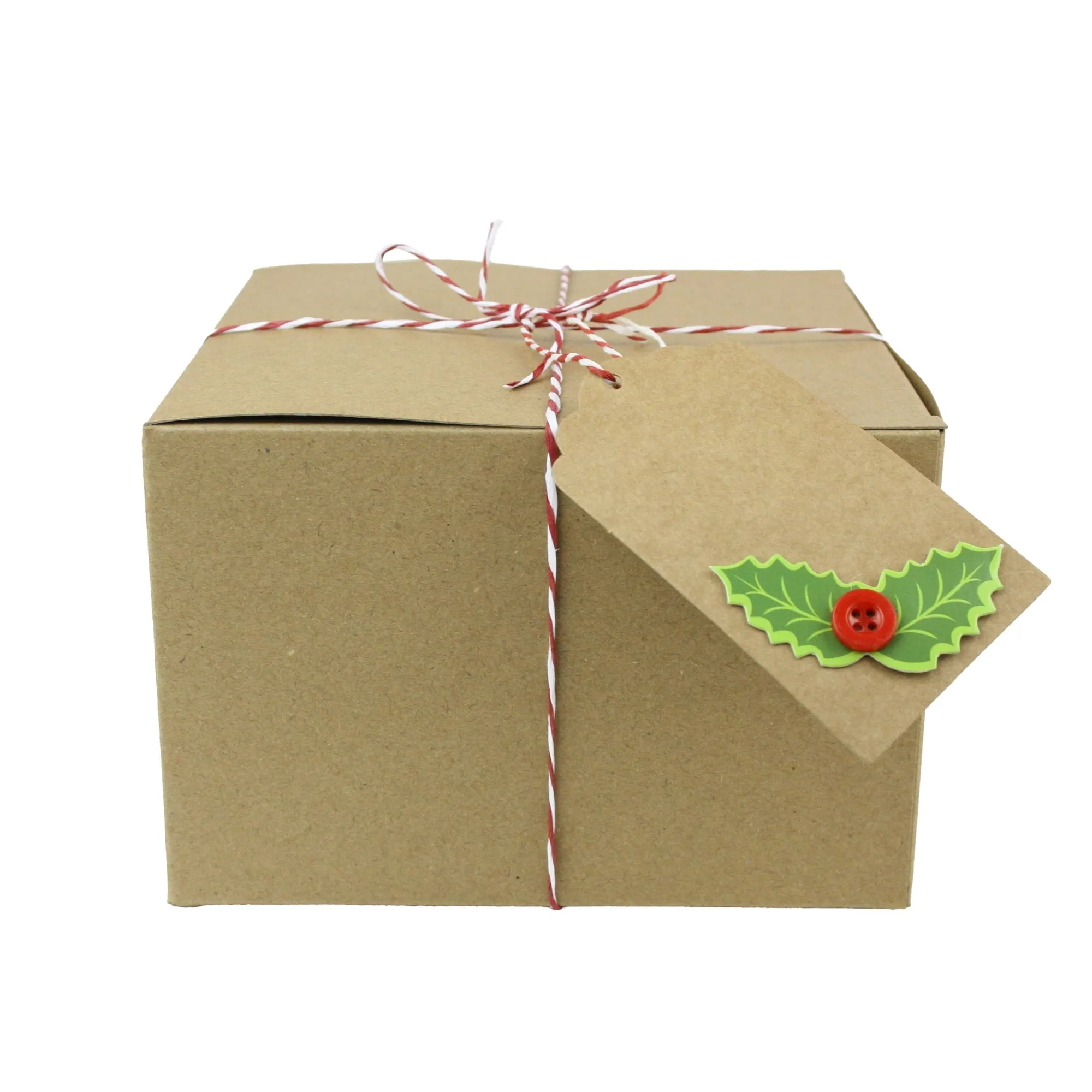 Natural Brown Kraft Gift Boxes with String and Tag Pack of 12