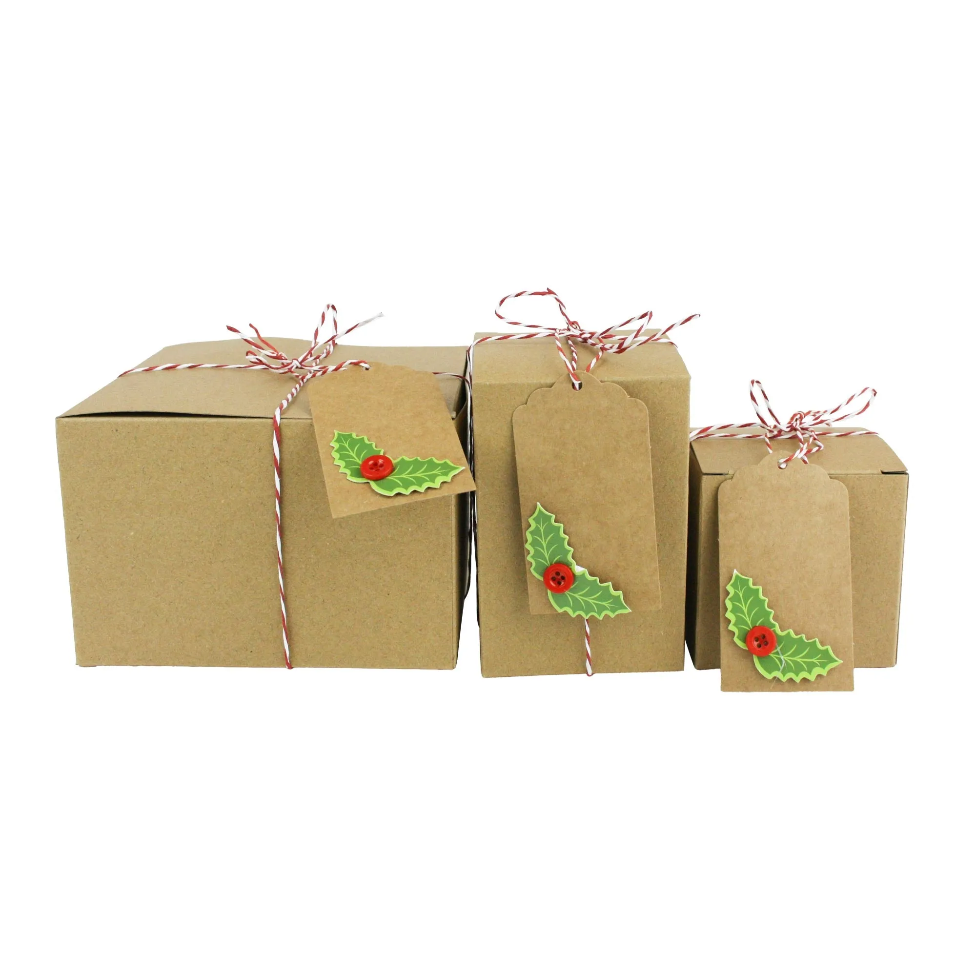 Natural Brown Kraft Gift Boxes with String and Tag Pack of 12