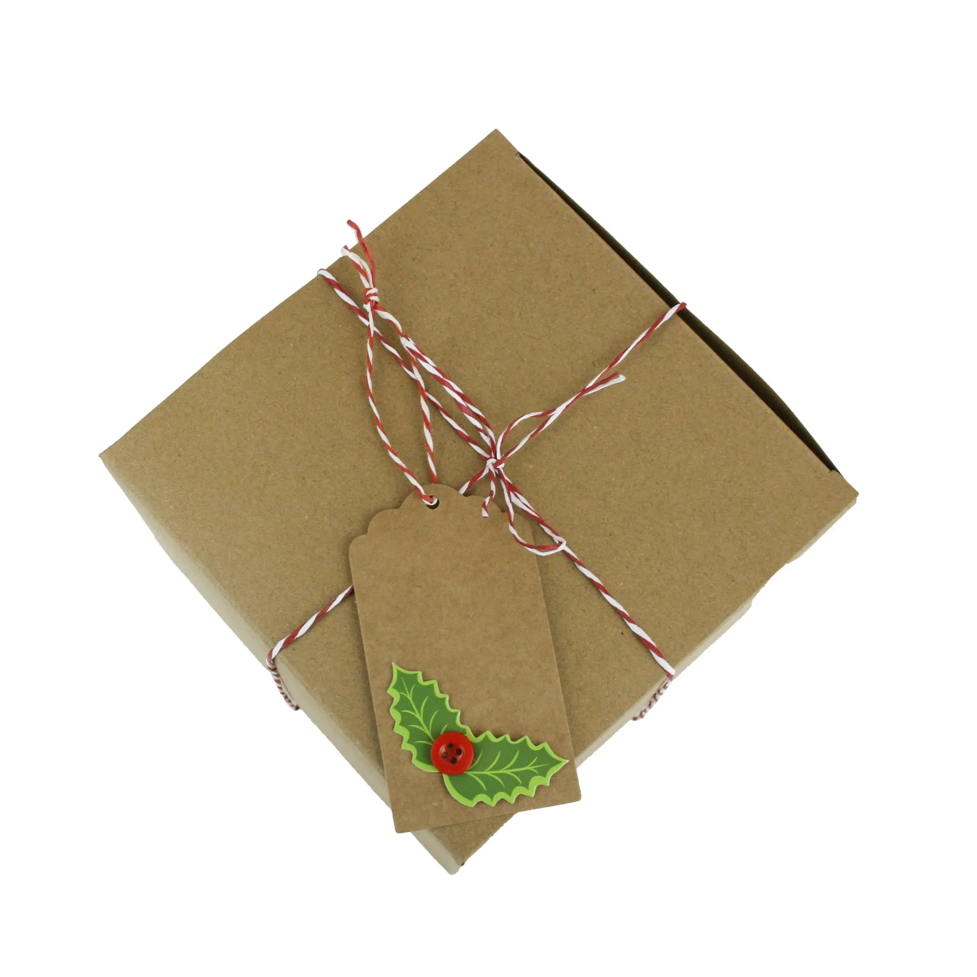 Natural Brown Kraft Gift Boxes with String and Tag Pack of 12