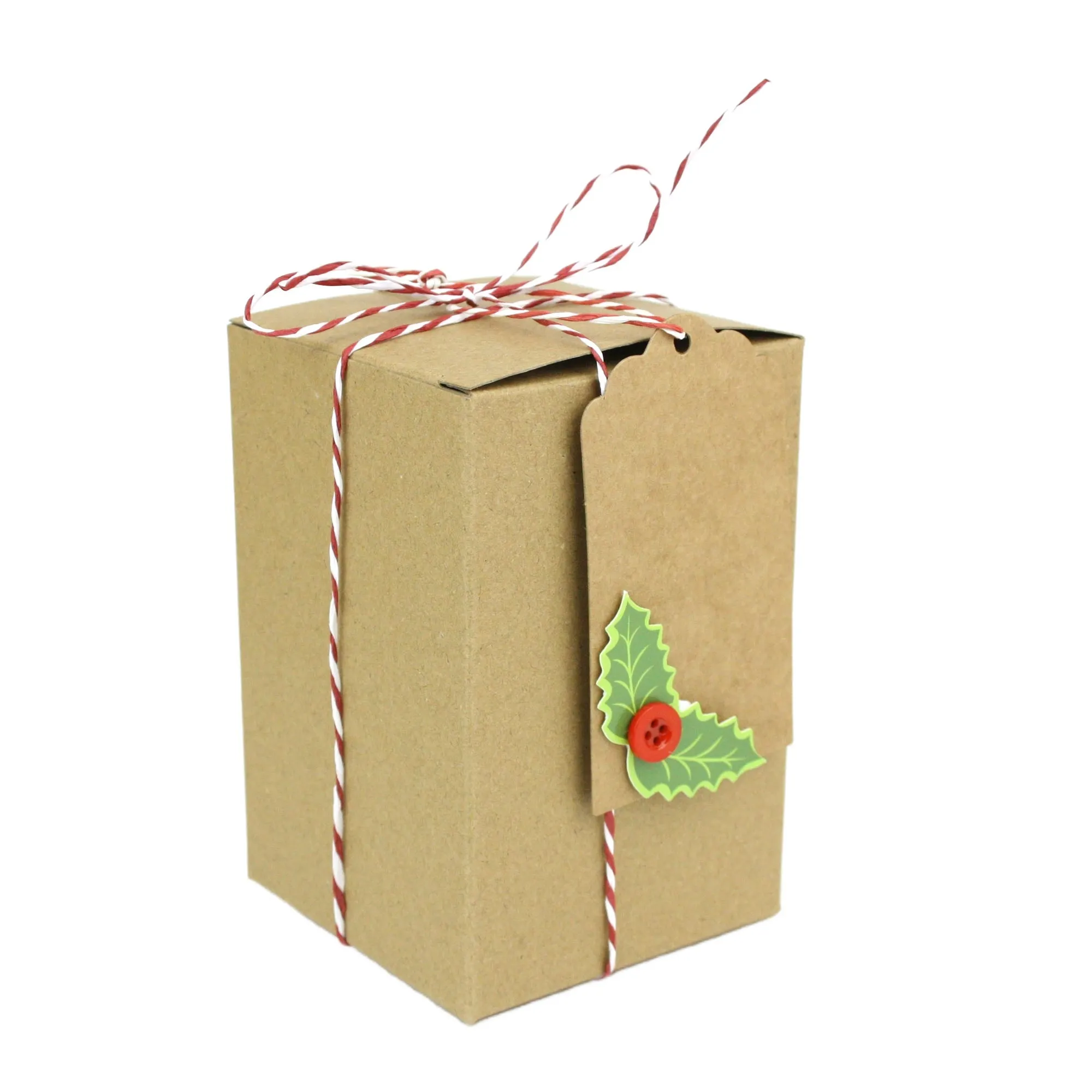Natural Brown Kraft Gift Boxes with String and Tag Pack of 12