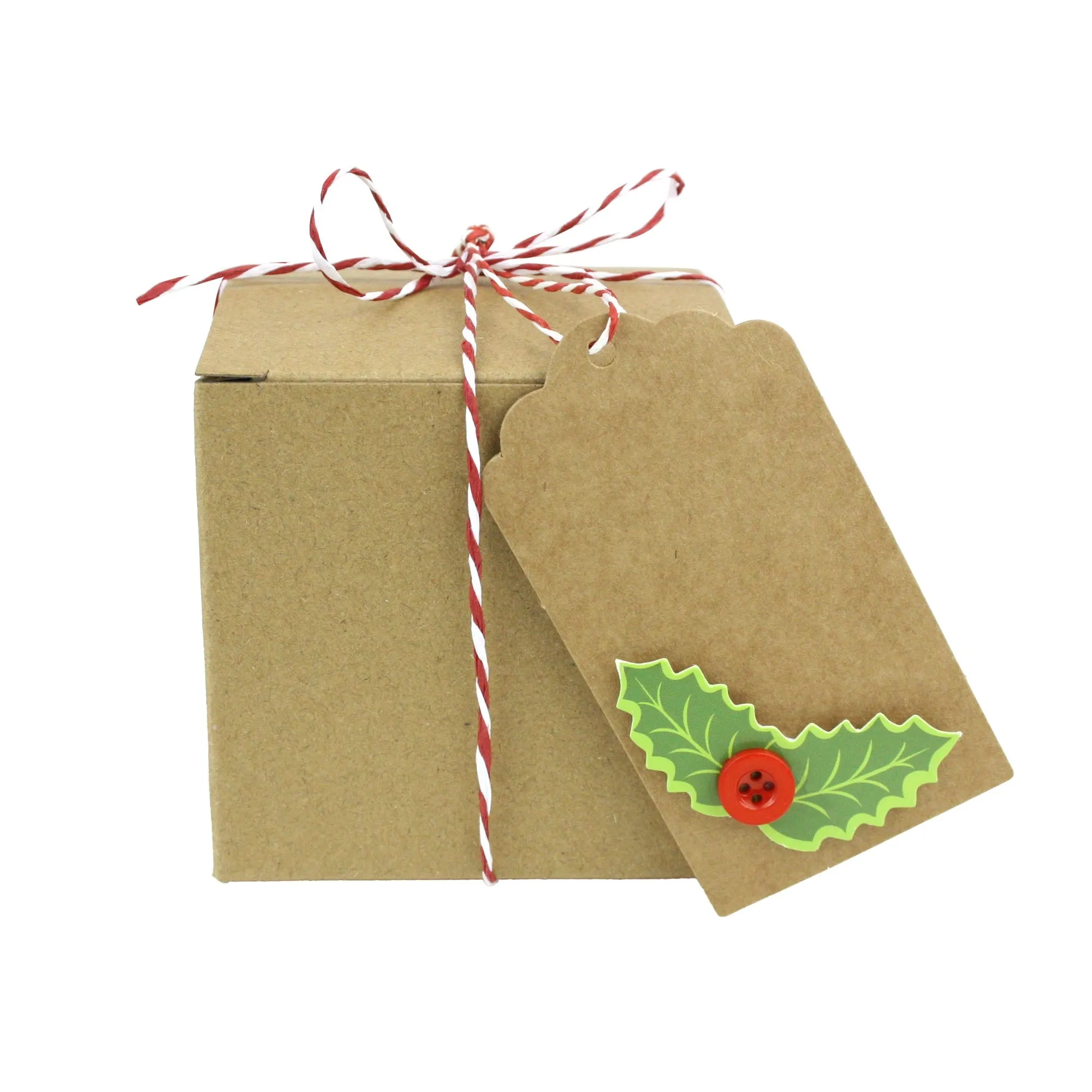 Natural Brown Kraft Gift Boxes with String and Tag Pack of 12