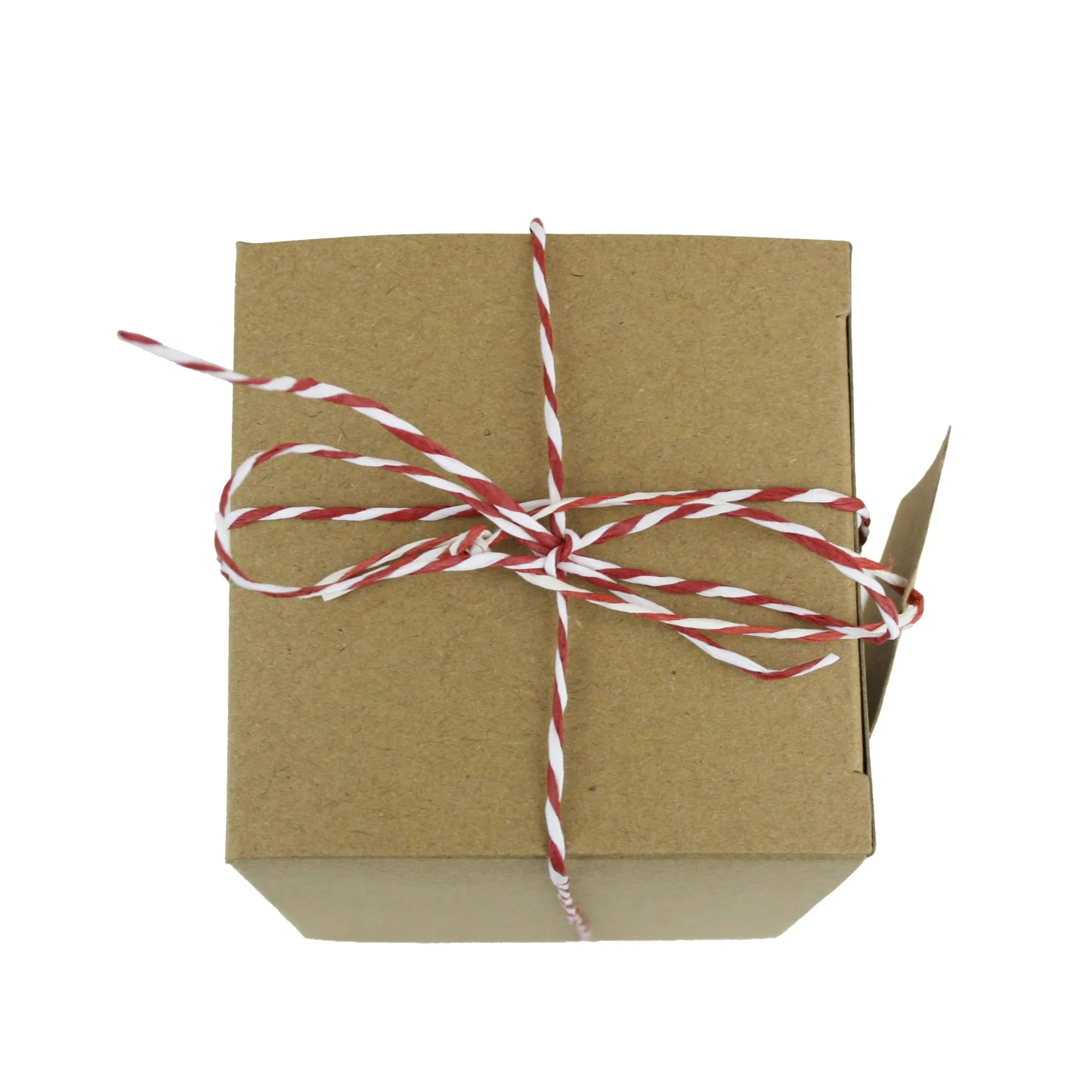 Natural Brown Kraft Gift Boxes with String and Tag Pack of 12