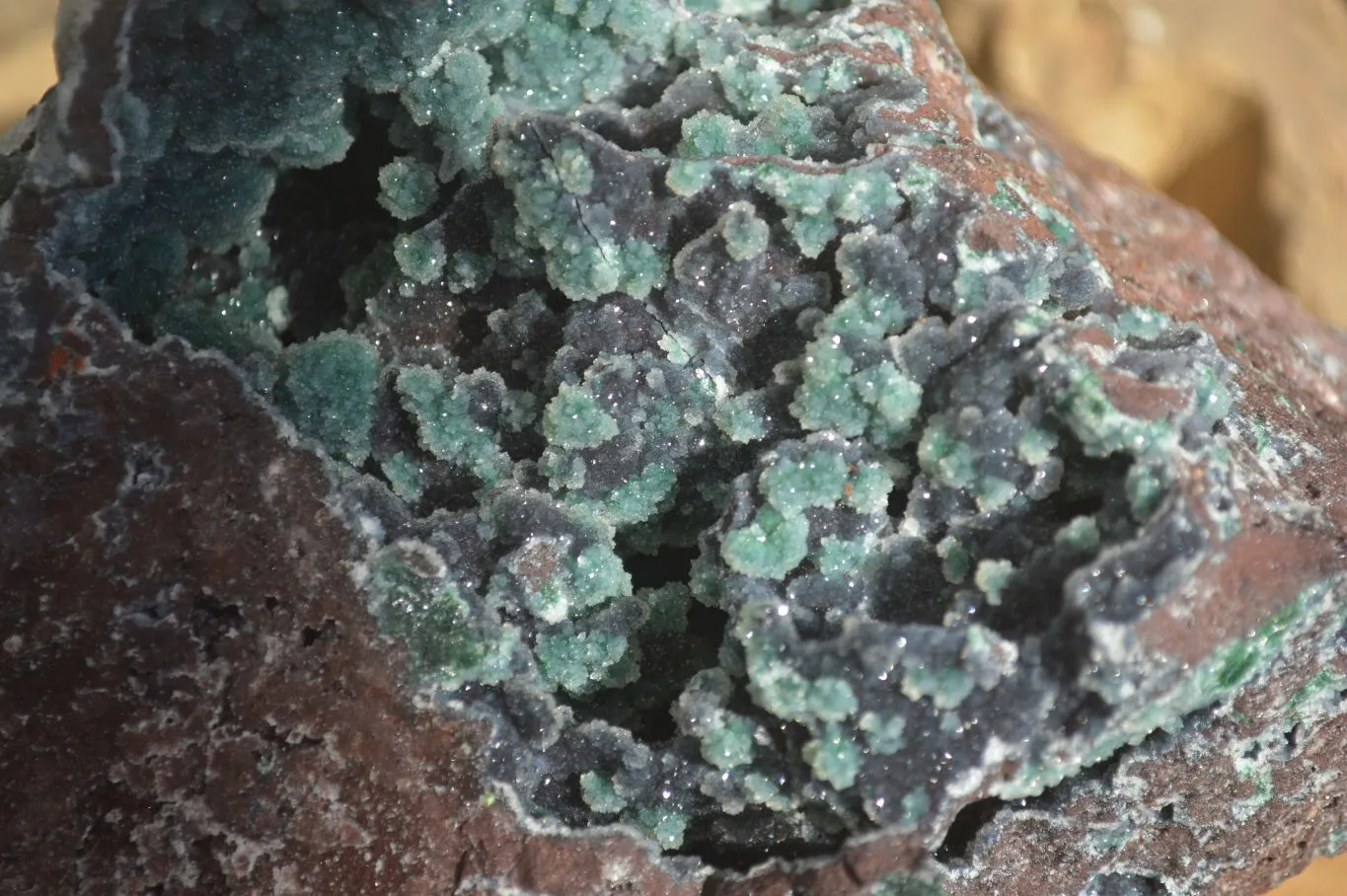 Natural Drusy Coated Ball Malachite On Dolomite Specimen x 1 From Likasi, Congo