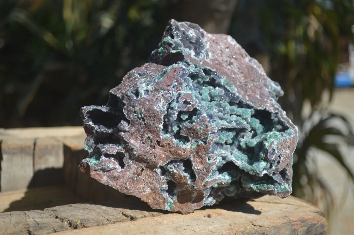 Natural Drusy Coated Ball Malachite On Dolomite Specimen x 1 From Likasi, Congo