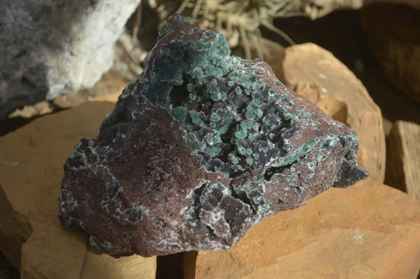 Natural Drusy Coated Ball Malachite On Dolomite Specimen x 1 From Likasi, Congo