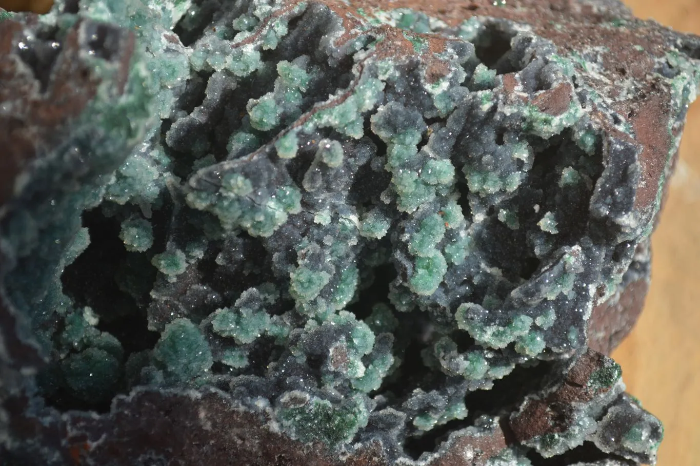 Natural Drusy Coated Ball Malachite On Dolomite Specimen x 1 From Likasi, Congo