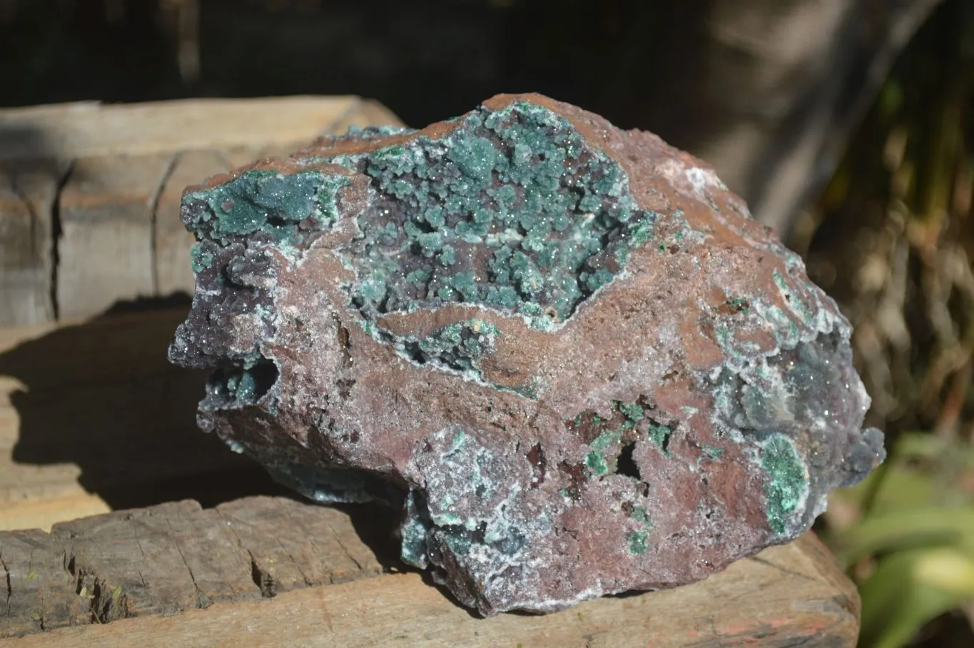 Natural Drusy Coated Ball Malachite On Dolomite Specimen x 1 From Likasi, Congo