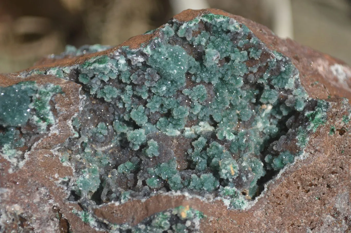 Natural Drusy Coated Ball Malachite On Dolomite Specimen x 1 From Likasi, Congo