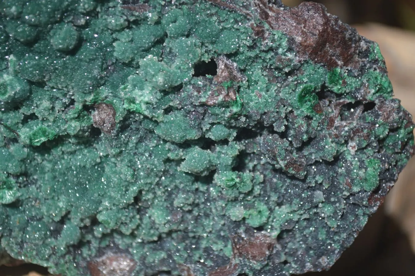 Natural Drusy Coated Ball Malachite On Dolomite Specimen  x 1 From Likasi, Congo
