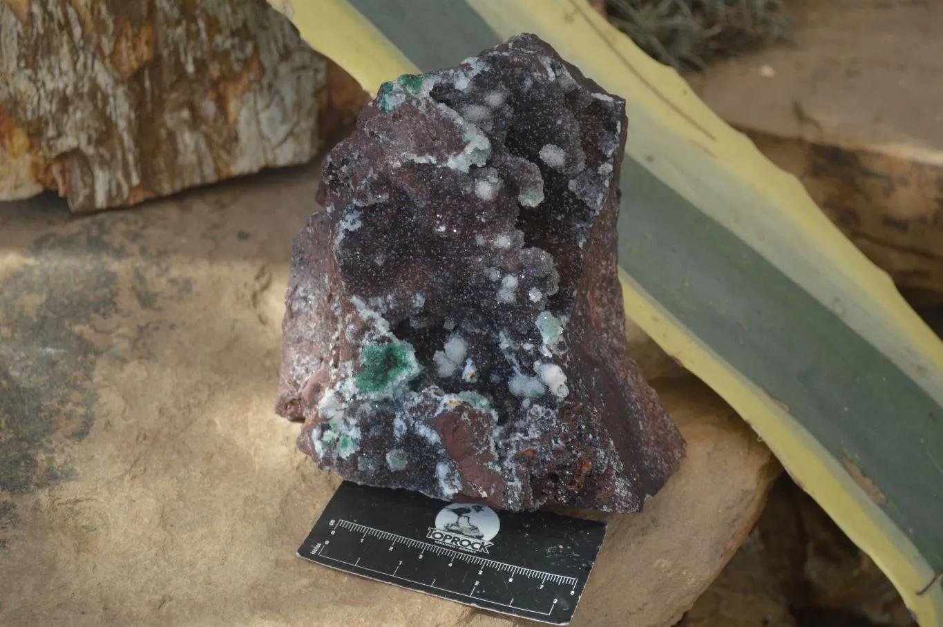 Natural Drusy Quartz Coated Ball Malachite On Red Copper Dolomite x 1 From Likasi, Congo