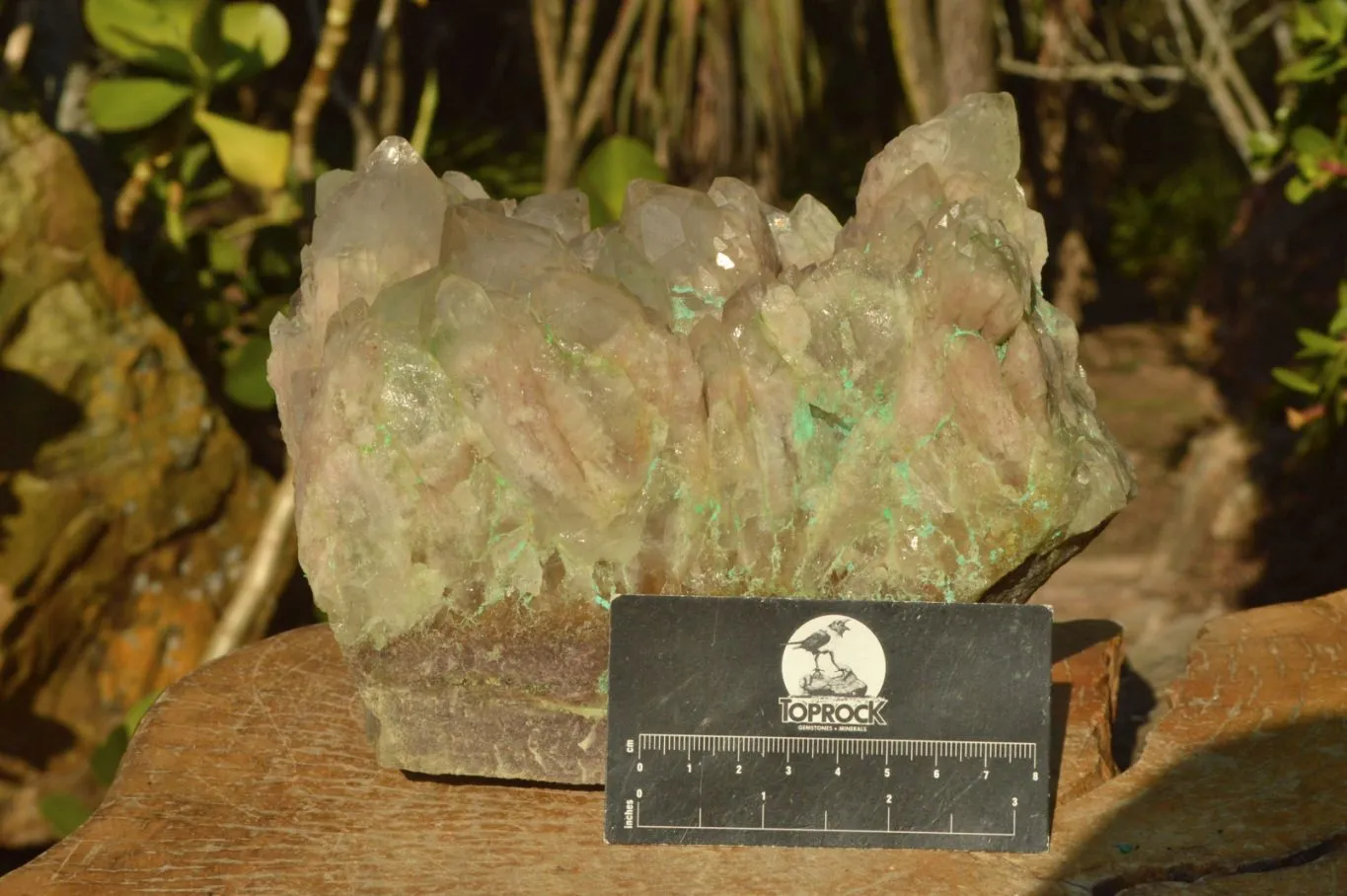 Natural Extra Large Malachite Infused Smokey Phantom Quartz Cluster x 1 From Luena, Congo