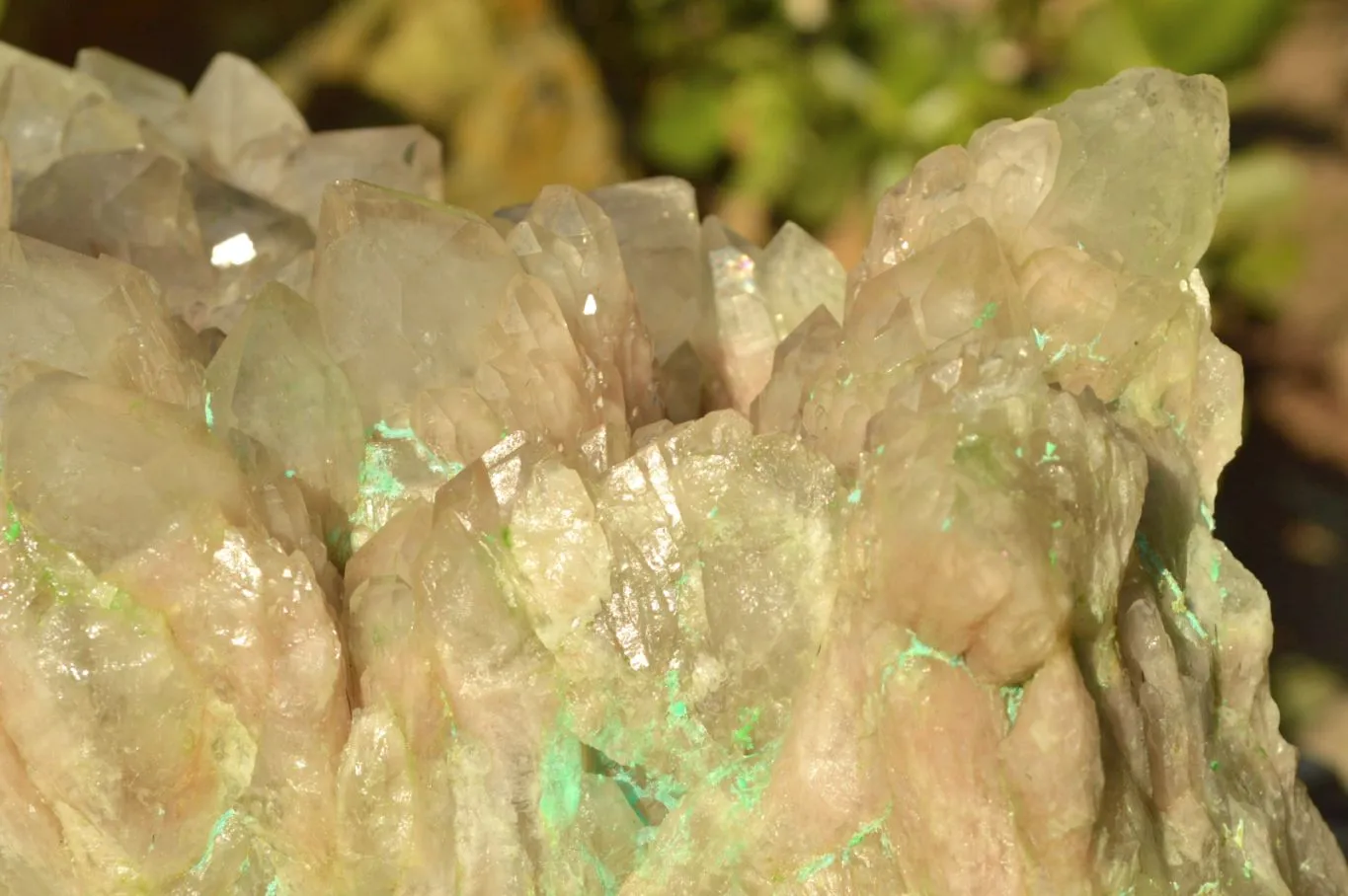 Natural Extra Large Malachite Infused Smokey Phantom Quartz Cluster x 1 From Luena, Congo