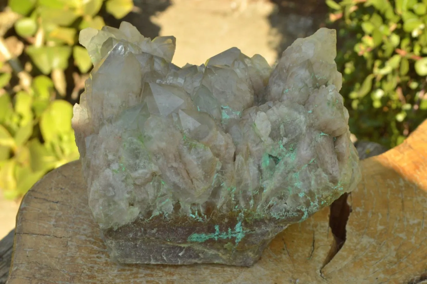 Natural Extra Large Malachite Infused Smokey Phantom Quartz Cluster x 1 From Luena, Congo