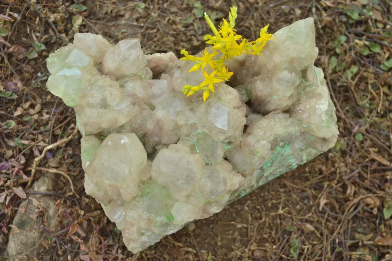 Natural Extra Large Malachite Infused Smokey Phantom Quartz Cluster x 1 From Luena, Congo