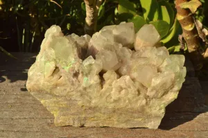 Natural Extra Large Malachite Infused Smokey Phantom Quartz Cluster x 1 From Luena, Congo