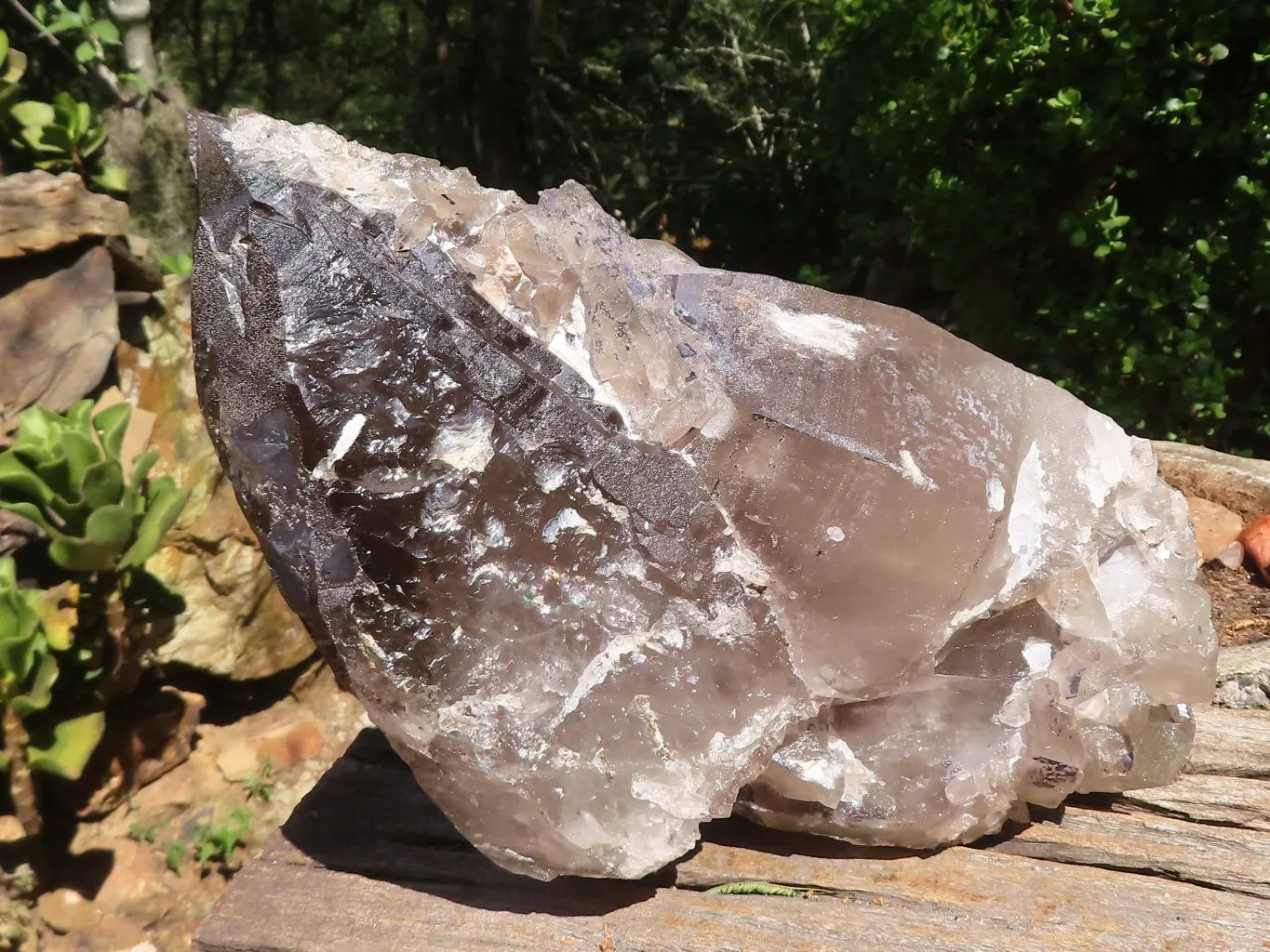 Natural Extra Large Smokey Quartz Cluster  x 1 From Madagascar