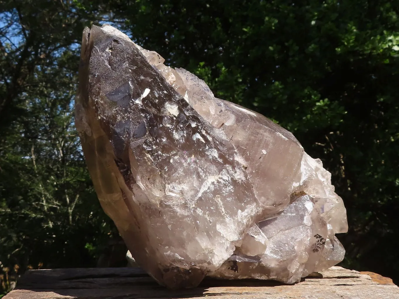 Natural Extra Large Smokey Quartz Cluster  x 1 From Madagascar