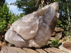 Natural Extra Large Smokey Quartz Cluster  x 1 From Madagascar