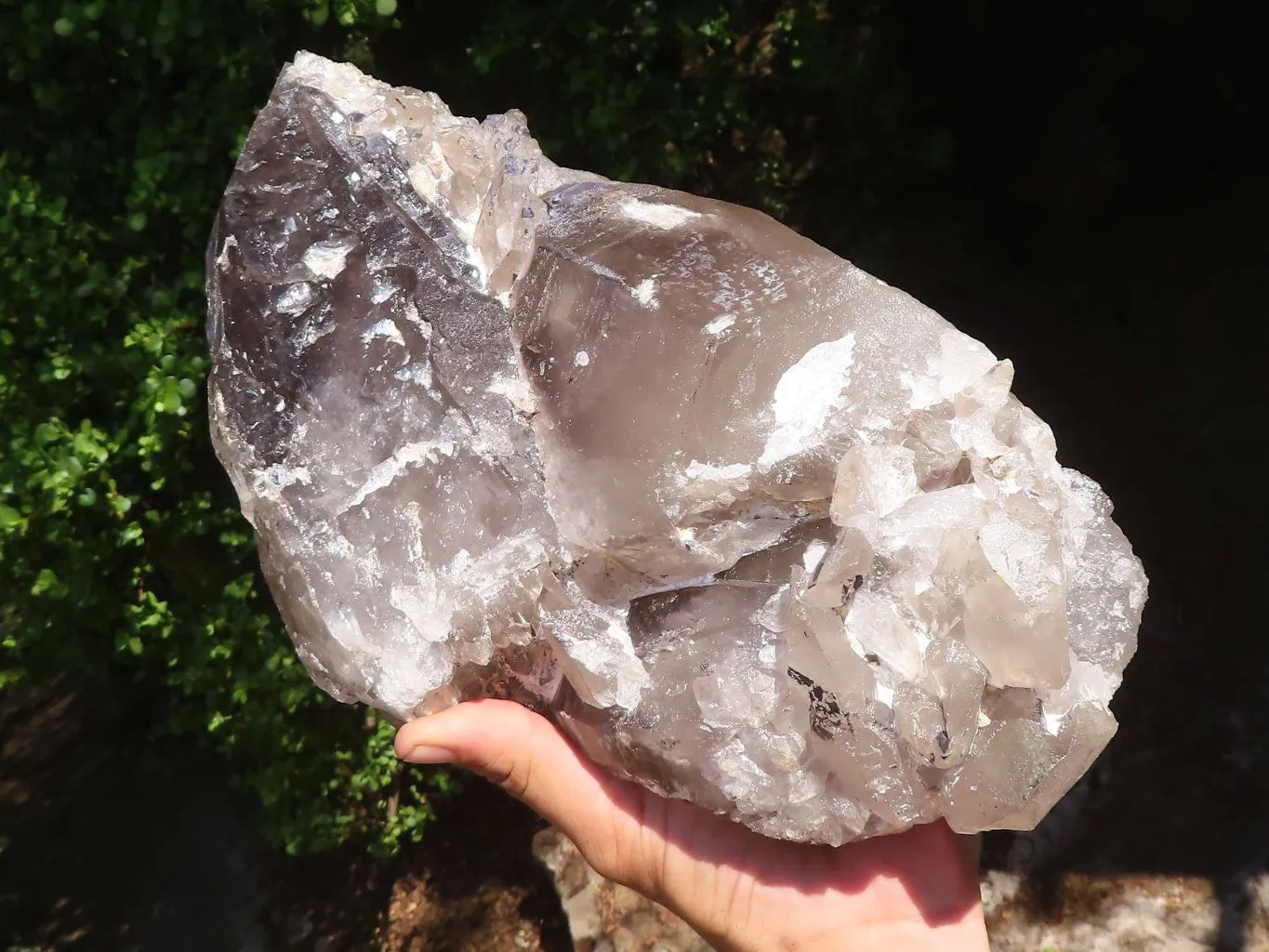 Natural Extra Large Smokey Quartz Cluster  x 1 From Madagascar