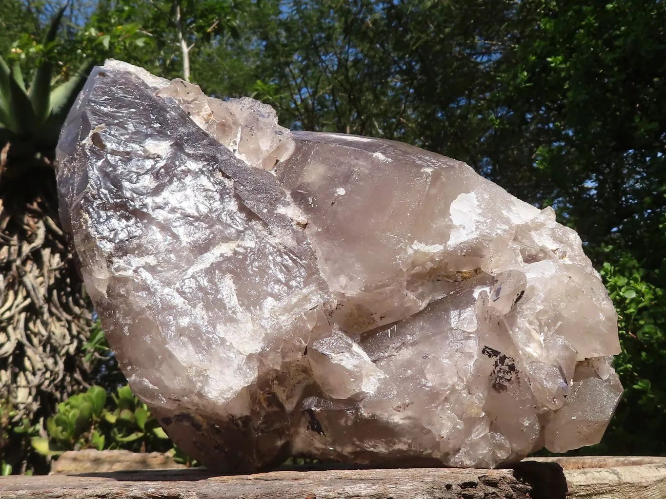 Natural Extra Large Smokey Quartz Cluster  x 1 From Madagascar