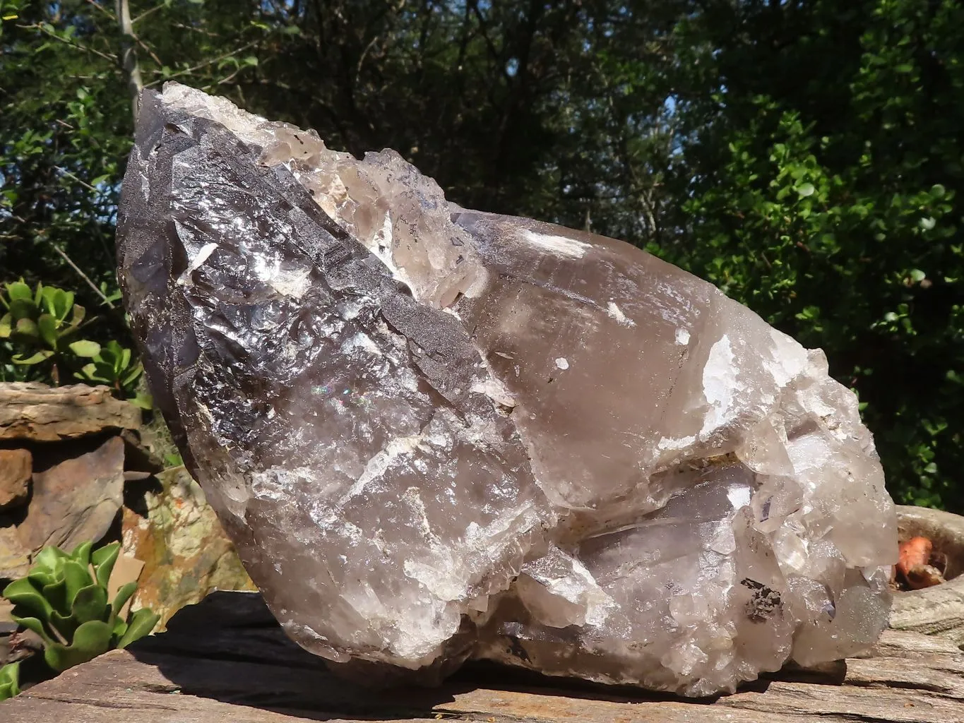 Natural Extra Large Smokey Quartz Cluster  x 1 From Madagascar