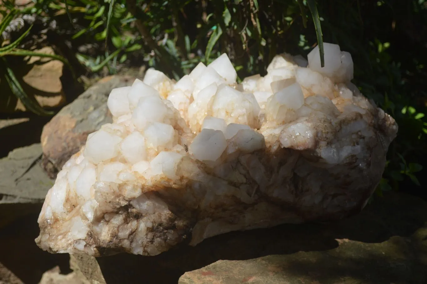 Natural Extra Large White Phantom Pineapple Quartz Cluster  x 1 From Madagascar