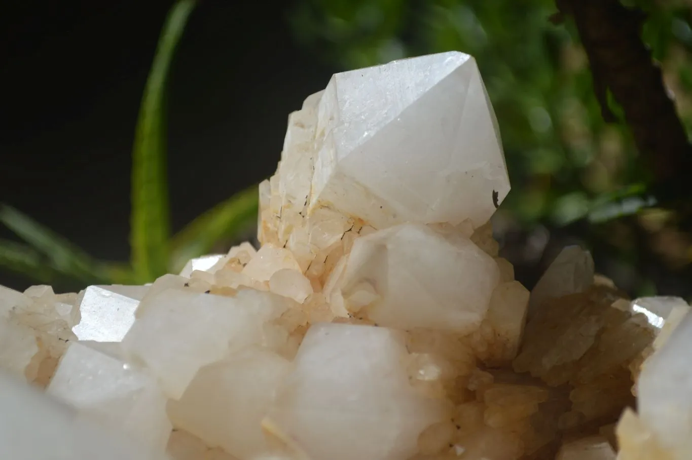 Natural Extra Large White Phantom Pineapple Quartz Cluster  x 1 From Madagascar