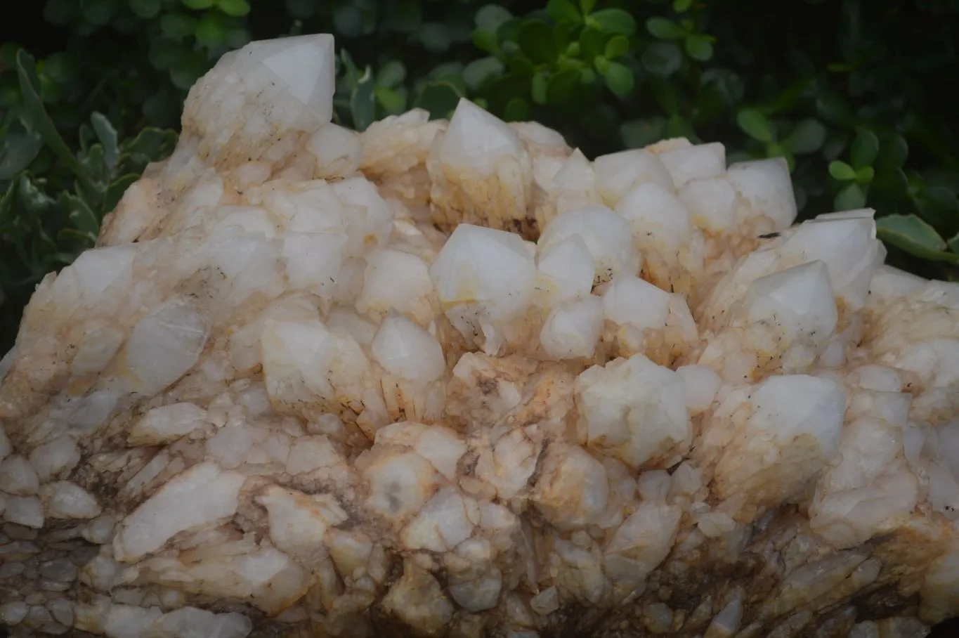 Natural Extra Large White Phantom Pineapple Quartz Cluster  x 1 From Madagascar