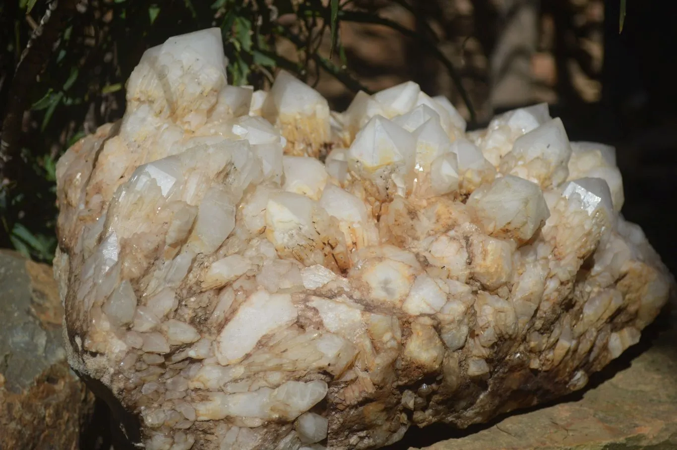 Natural Extra Large White Phantom Pineapple Quartz Cluster  x 1 From Madagascar