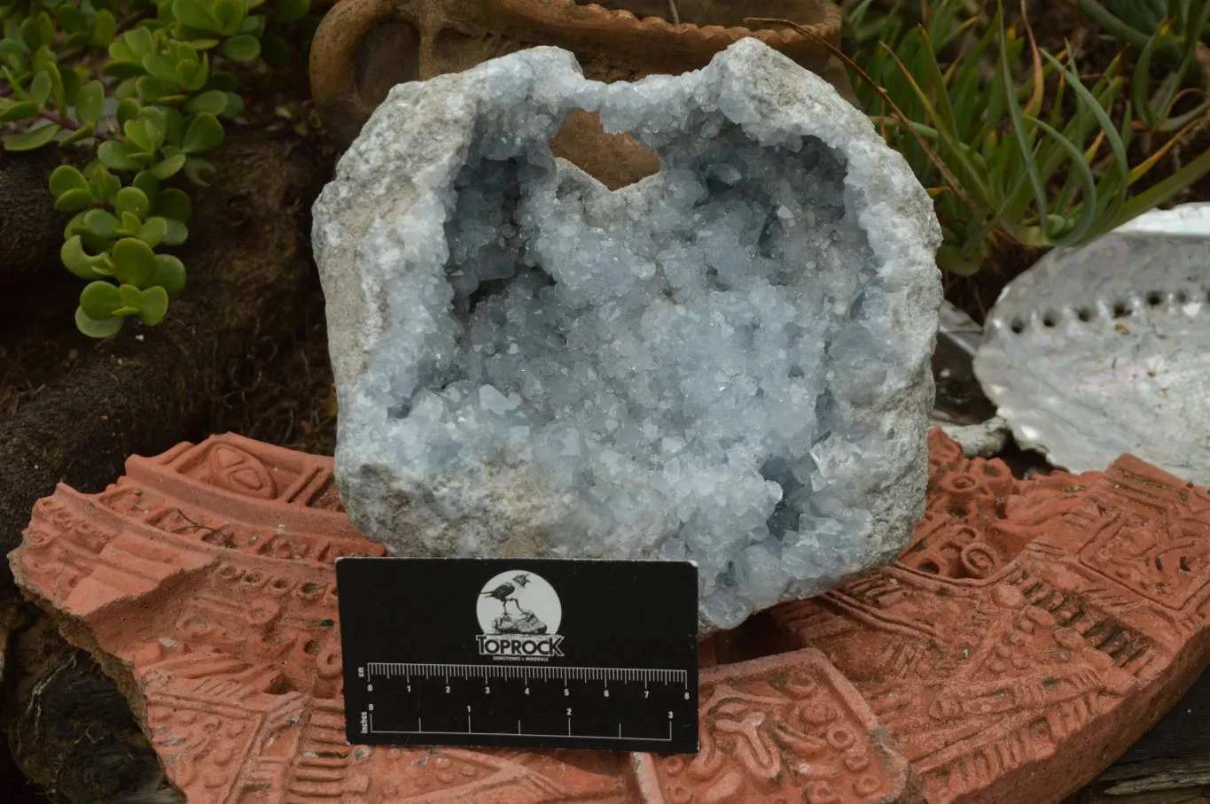 Natural Gorgeous Crystalline Pale Blue Celestite Geode Specimen  x 1 From Sakoany, Madagascar