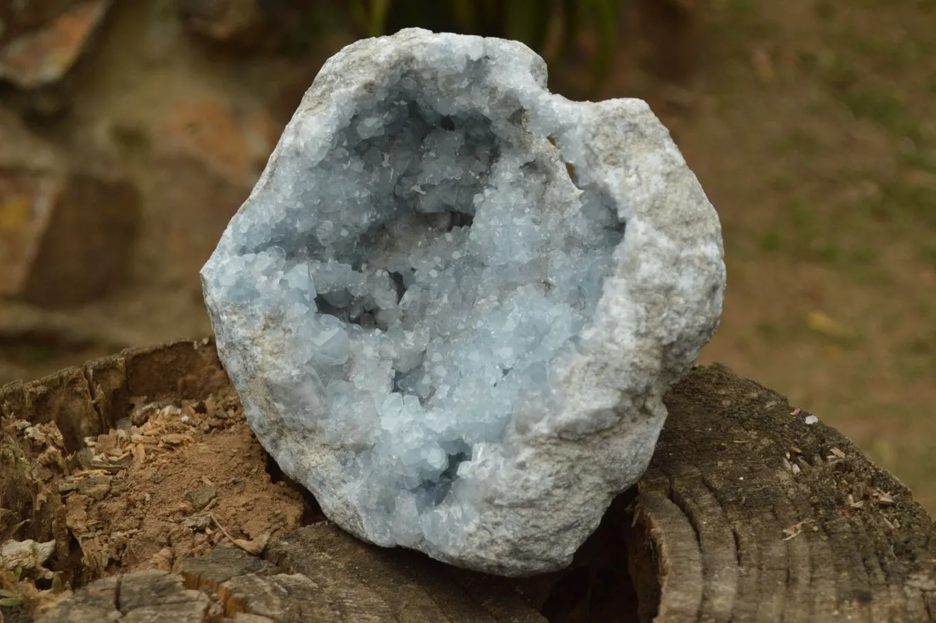 Natural Gorgeous Crystalline Pale Blue Celestite Geode Specimen  x 1 From Sakoany, Madagascar