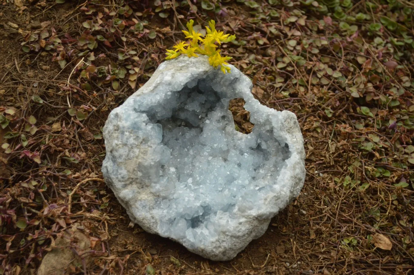 Natural Gorgeous Crystalline Pale Blue Celestite Geode Specimen  x 1 From Sakoany, Madagascar