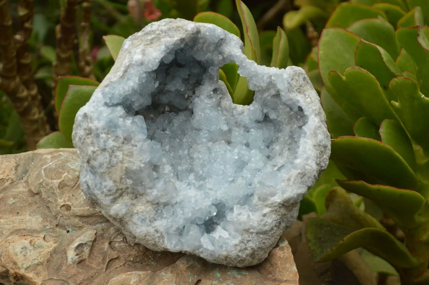Natural Gorgeous Crystalline Pale Blue Celestite Geode Specimen  x 1 From Sakoany, Madagascar